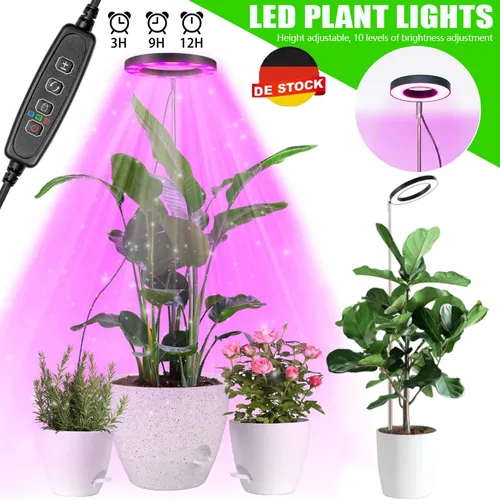 Northpoint Hydroponisches LED Anzuchtsystem