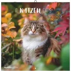 Katzen 2026 - Broschürenkalender 30x30 cm - Hochwertiger Wandkalender für Katzenliebhaber, mit 12 bezaubernden Katzenmotiven und viel Platz für Notizen. Ideal als Geschenk!