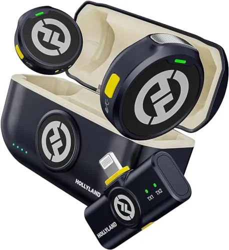 Audiokomponenten von HollyView