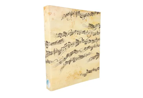 Musikboutique Aktenordner schmaler Ringbuchordner mit schwarzen Notenlinien, DIN A4, schmaler Ringbuchordner mit Notenzeilen, Rückenbreite 4 cm