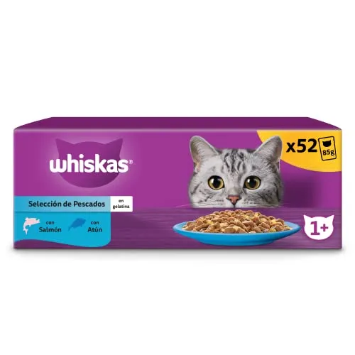 whiskas Nassfutter in Gelee für Katzen, Erwachsene, Fischauswahl, 13 x 4 Beutel x 85 g