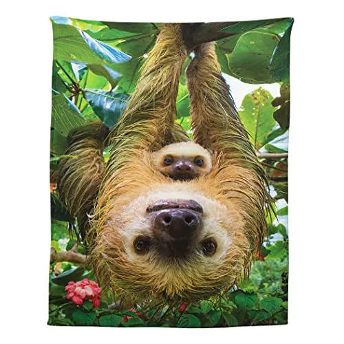 Zomer Kuscheldecke 150x200 cm Gemusterte Decke Weiche Warme Decke als Wohndecke Schlafdecke Tagesdecke oder Sofadecke mit Faultier