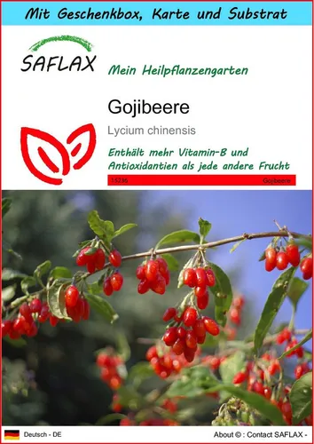 SAFLAX Blumensamen SAFLAX - Geschenkset - Gojibeere