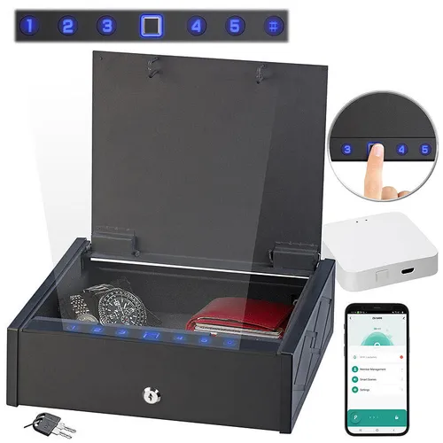 Xcase Tresor mit biometrischer Fingerabdruckerkennung, WLAN-Gateway und App