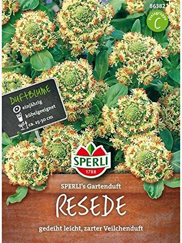 Sperli Blumensamen Resede Gartenduft, grün