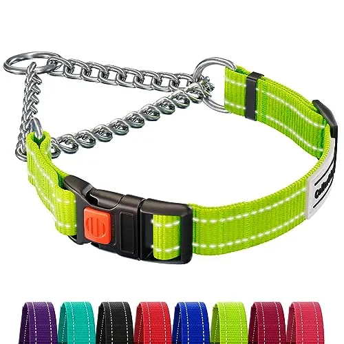 CollarDirect Reflektierendes Hundehalsband, Martingale-Halsbänder, seitliche Schnalle, Kette Training, verstellbare Haustier Halsbänder (Lindgrün, L, 41-54 cm)