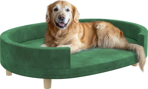 PawHut Hundesofa, Katzensofa, Katzensessel, weiche Samtoberfläche, mit abnehmbarem Kissen, Beine aus Massivholz, 100 x 70 x 25 cm (B x T x H), Grün