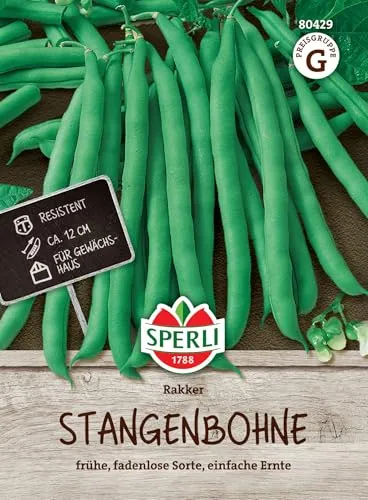 Sperli Stangenbohnensamen Rakker 80429 von SPERLI