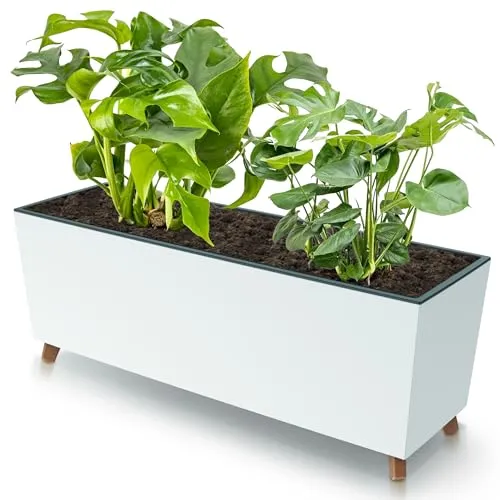 botle Blumenkasten mit Füßen Weiß 77x30 cm Glatt Struktur mit Pflanzeinsatz Kunststoff große Größe mit 2 Stabilisatoren UV beständig Balkonkasten Innen/Außenbereiche