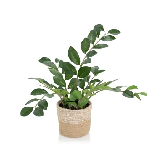 hjh OFFICE Kunstpflanze ZAMIE - Zamioculcas Zamiifolia - Kunstpflanze Zamioculcas im Rattan-Korb, ideal für Indoor und geschützte Outdoor-Bereiche. Setzt moderne Akzente und benötigt kein Licht.