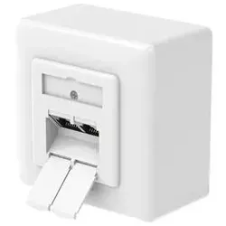 Hama Netzwerkdose 00300029, 2 x RJ-45, CAT-6a - Sonstige Elektroinstallationsartikel, 10 Gbit/s, geschirmt und vielseitig nutzbar, ideal für schnelle Netzwerkverbindungen.