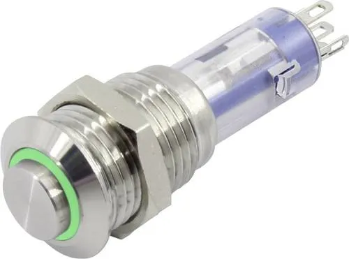 TRU COMPONENTS TC-6647560 LAS4GQH-11ZE/G/24V/S Druckschalter 48V 2A 1 x Ein/Aus rastend Grün 1St.