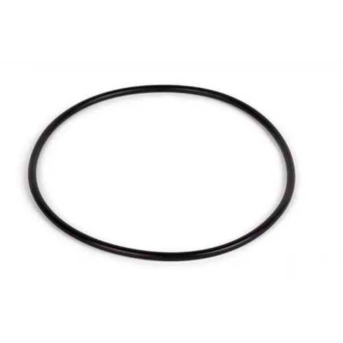 INTEX - 11379 - Dichtung Für Das Selektionsventil 1000026503706