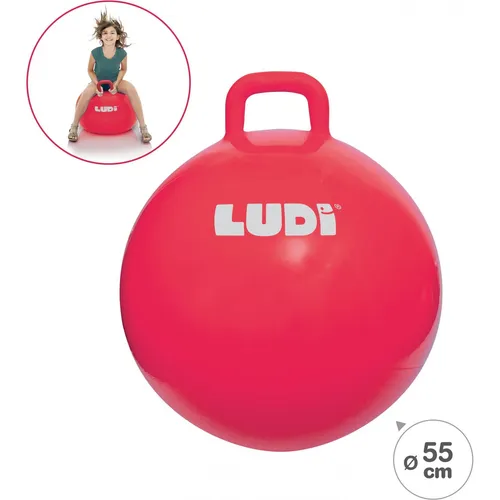 LUDI Space hopper