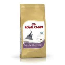 Royal Canin Feline Kitten British Shorthair | 400g Katzenfutter