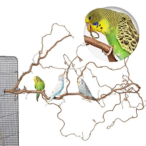 Vogelleitern & -sitzstangen von Vogelgaleria