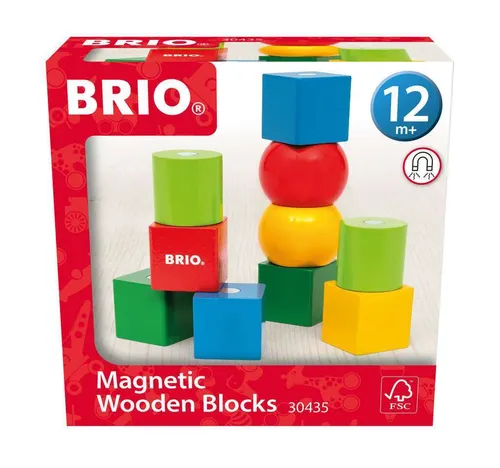 Ravensburger 30435 Magnetische Holzbausteine