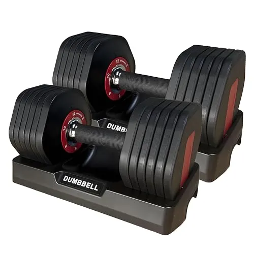 HAKENO 2x12 kg verstellbare Hanteln, 2er-Set, Hantel-Set, schnell einstellbar, freie Gewichte, Kurzhantel-Set mit rutschfestem Metallgriff, kompakte Größe für Männer/Frauen, Heim-Fitnessgeräte