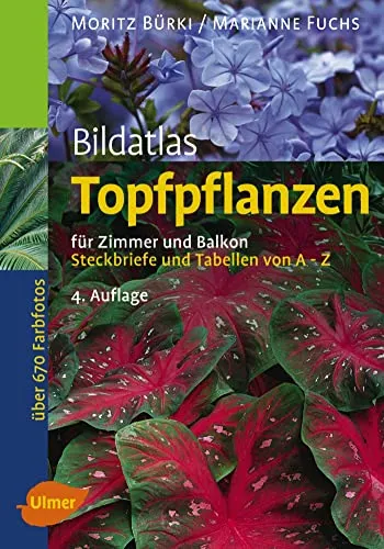 Topfpflanzen: Für Zimmer und Balkon – Steckbriefe und Tabellen von A-Z - Umfassender Bildatlas für Topfpflanzen, ideal für Gartenliebhaber und Balkon-Gestalter, mit wertvollen Tipps und Pflegeanleitungen.