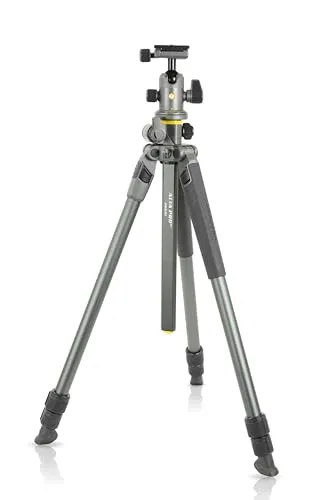 Vanguard Alta Pro 2+ 263AB 100 - Stativ mit Kugelkopf mit umklappbarer Mittelsäule