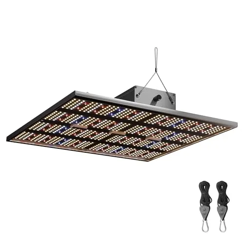 Caluma LED Force 240 W 2.7µmol/J - Effiziente Pflanzenbeleuchtung - Energiesparlampe zur Förderung der Durchwurzelung und gesunden Pflanzenentwicklung, ideal für Indoor-Gärten und Gewächshäuser.