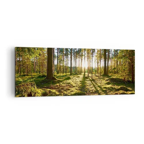 Wandbilder 140x50cm Leinwandbild Wald Baum Natur Groß XXL Bilder Art Wanddeko
