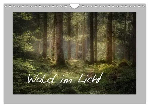Wald im Licht 2026: Wandkalender von Simone Wunderlich - Kalender mit leuchtenden Waldmotiven im Jahreskreis, ideal für Naturliebhaber und Kunstfreunde, Format DIN A4 quer, 14 Seiten.