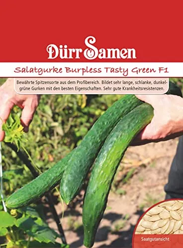 Dürr-Samen - Salatgurken Burpless Tasty Green F1 Saatgut