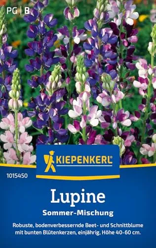 Kiepenkerl Lupinensamen Sommer Mischung 1015450 –Blumensamenmischung für eine robuste Beet- und Schnittblume mit Inhalt für 40 Pflanzen - Blumenwiese, Saatgut