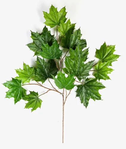 artplants Künstlicher Ahorn Zweig Jakob, grün, 60cm