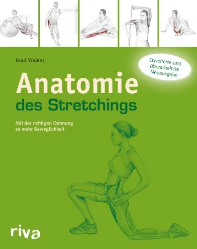 Anatomie des Stretchings: Mit der richtigen Dehnung zu mehr Beweglichkeit - Fitnessratgeber, bietet umfassende Anleitungen zur richtigen Dehnung für mehr Beweglichkeit und verbesserte Leistung.