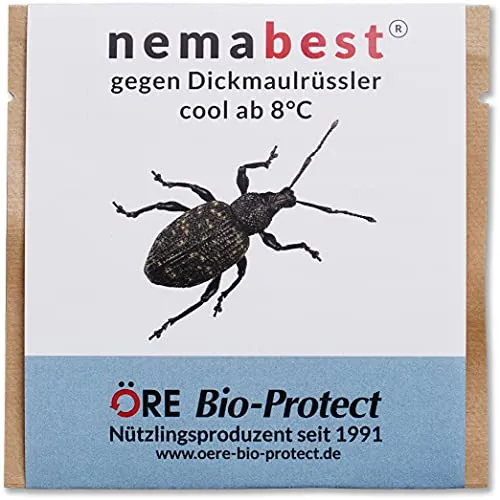 nemabest® cool HB+SF Nematoden zur Bekämpfung des Dickmaulrüsslers - 3 Mio. für 6m²