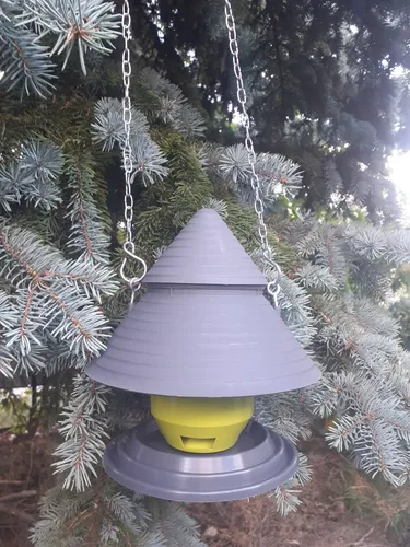 Vogelhäuschen, Vogelfutterstation, Hängehaus an einer Kette