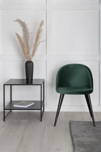 ebuy24 Stuhl, Grün, 1-Sitzer aus Holzwerkstoff - Eleganter Esszimmerstuhl in grün aus Velours, ideal für stilvolle Wohnräume. Schafft Atmosphäre von Raffinesse und Komfort.