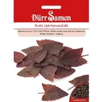 Dürr Samen Rote Gartenmelde Saatgut