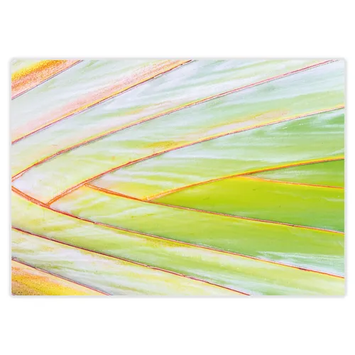 Tischunterlagen mit tropischem Palmenblatt-Motiv I DIN A3 eckig I dv_1066 100