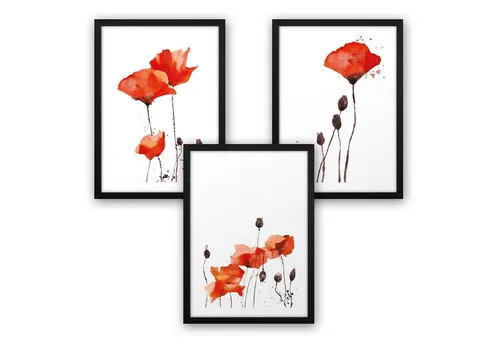 Kreative Feder Poster, Mohnblume, Blüte, Blume, Aquarell, rot (Set, 3 St), 3-teiliges Poster-Set, Wandbild, optional mit Rahmen, DIN A4 oder A3