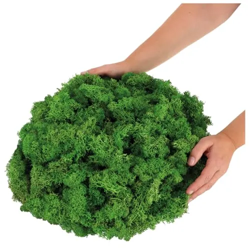 com-four® 500g Deko-Moos - DIY Bastel-Moos - echtes Deko-Moos zum Basteln und Dekorieren - Naturmoos für Bastelprojekte (Deko-Moos - 500g)