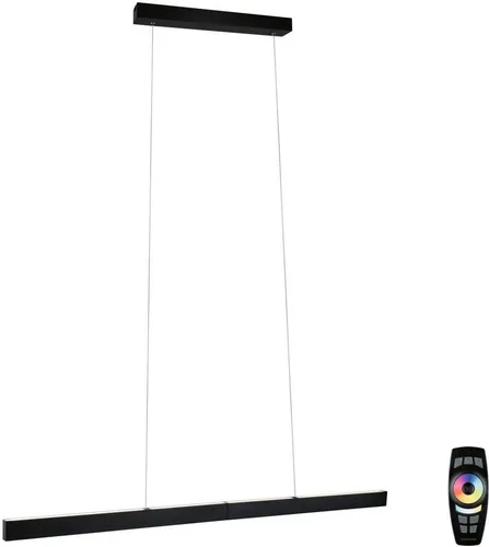 Paulmann 79888 LED Pendelleuchte Aptare - dimmbar & höhenverstellbar, schwarz gebürstet - Lampen - Dimmbar und höhenverstellbar für individuelle Lichtgestaltung, kompatibel mit Smart Home-Systemen wie Amazon Alexa und Philips Hue.