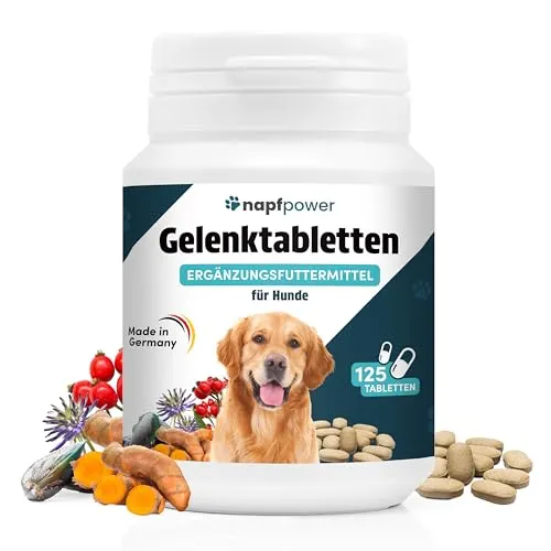 Napfpower Gelenktabletten Hund (125 STK.) mit Grünlippmuschel - Leckerli mit MSM, Teufelskralle, Glucosamin, Hyaluron & Kurkuma Unterstützt die Gelenke & Knochen