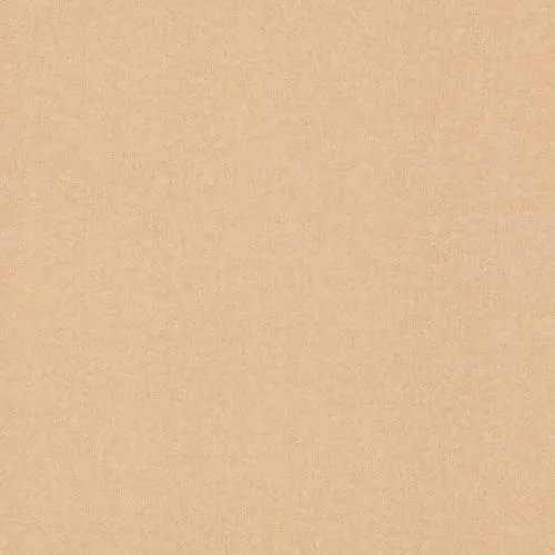 Tapeten Braun von Rasch