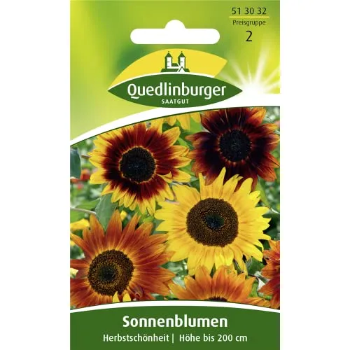 Sonnenblumen Herbstschönheit