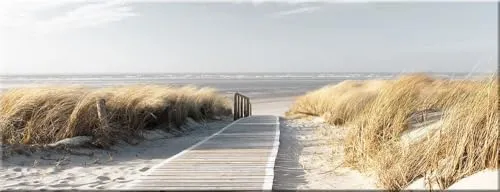 artissimo, Glasbild, 80x30cm, AG1916A, Der Weg zum Meer, Strand, Strandweg blau beige, Bild aus Glas, moderne Wanddekoration aus Glas, Wandbild Wohnzimmer modern