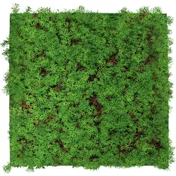 Jangal Akustikpaneel Modular Wall System Nature Design Flora, Hellgrün - Wand & Decke: Handmade Akustikpaneel aus nachhaltigem PET-Filz und echten Teebaumwurzeln, einfach ohne Bohren zu montieren und ideal für ein individuelles Wohnambiente.