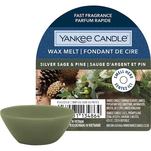YANKEE CANDLE Wax Melt SILVER SAGE & PINE 22 g Duftwachs von Yankee Candle