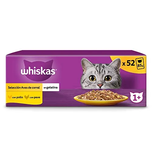 Whiskas Nassfutter für ausgewachsene Katzen, Vogelauswahl in Gelee (13 x 4 Beutel x 85 g)