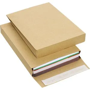 Bong Faltentaschen C5, braun, haftklebend, 250 Stück in braun von Bong