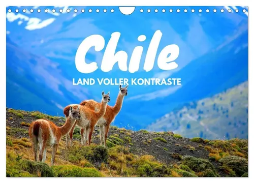 Daniel Tischer | Chile - Land voller Kontraste (Wandkalender 2026 DIN A4...