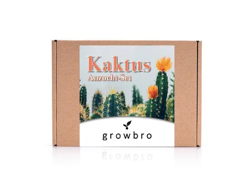 Kunstkaktus KAKTUS Anzuchtset inkl. Sprühflasche PERFEKTES GESCHENK, growbro, - Bekannt aus Social Media