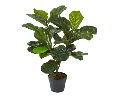 Kunstbaum Geigenfeige Kunstpflanze im Topf - 70 cm, Homescapes, Höhe 70 cm